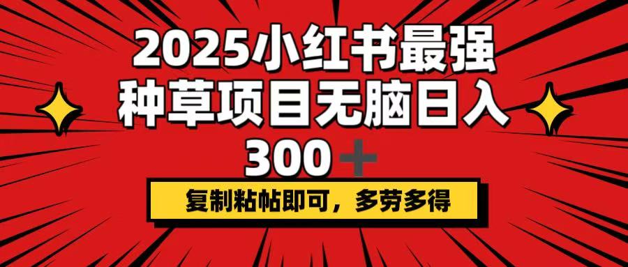 2025小红书最强种草项目，无脑日入300+，复制粘帖即可，多劳多得-老K资源网