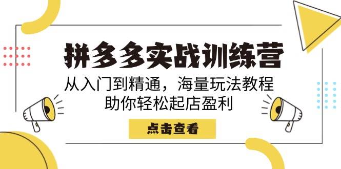 拼多多实战训练营，从入门到精通，海量玩法教程，助你轻松起店盈利-老K资源网