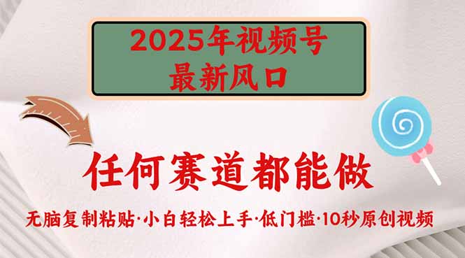 （14453期）2025年视频号新风口，低门槛只需要无脑执行-老K资源网
