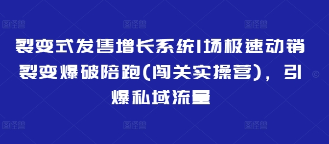 裂变式发售增长系统1场极速动销裂变爆破陪跑(闯关实操营)，引爆私域流量-老K资源网