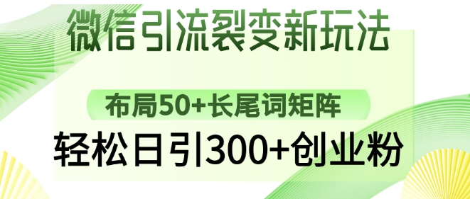 微信引流裂变新玩法：布局50+长尾词矩阵，轻松日引300+创业粉-老K资源网