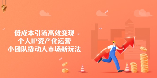 低成本引流高效变现，个人IP资产化运营，小团队撬动大市场新玩法-老K资源网