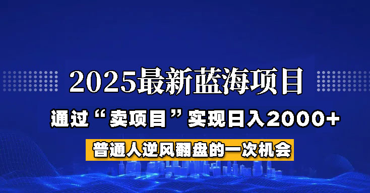 2025年蓝海项目，如何通过“网创项目”日入2000+-老K资源网