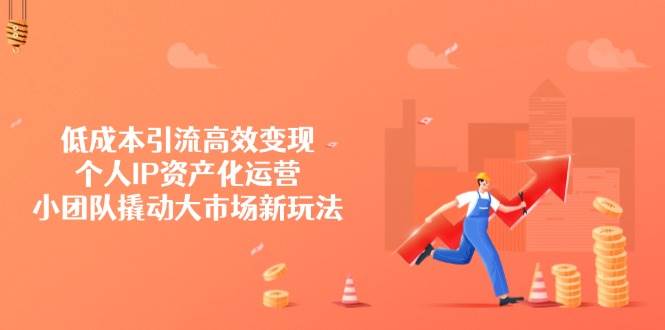 低成本引流高效变现，个人IP资产化运营，小团队撬动大市场新玩法-老K资源网