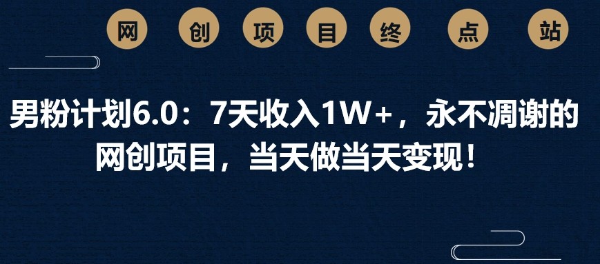 男粉计划6.0：7天收入1W+，永不凋谢的网创项目，当天做当天变现！-老K资源网