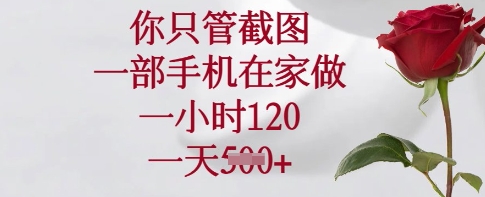 你只管截图，一部手机在家做，一小时120.一天5张-老K资源网