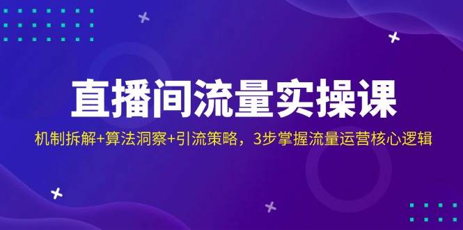 直播间流量实操课：机制拆解+算法洞察+引流策略，3步掌握流量运营核心逻辑-老K资源网