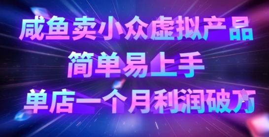 咸鱼卖小众虚拟产品，简单易上手，单店一个月利润破W-老K资源网