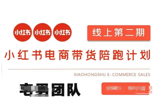 小红书电商带货课2期，月利润20个的小红书电商的有货源，无货源，虚拟产品，付费投流等整套玩法-老K资源网