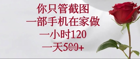 你只管截图，一部手机在家操作，一小时120.一天5张-老K资源网