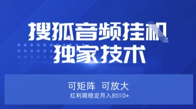 【搜狐音频挂G】独家技术，可矩阵可放大，红利期稳定月入8k-老K资源网
