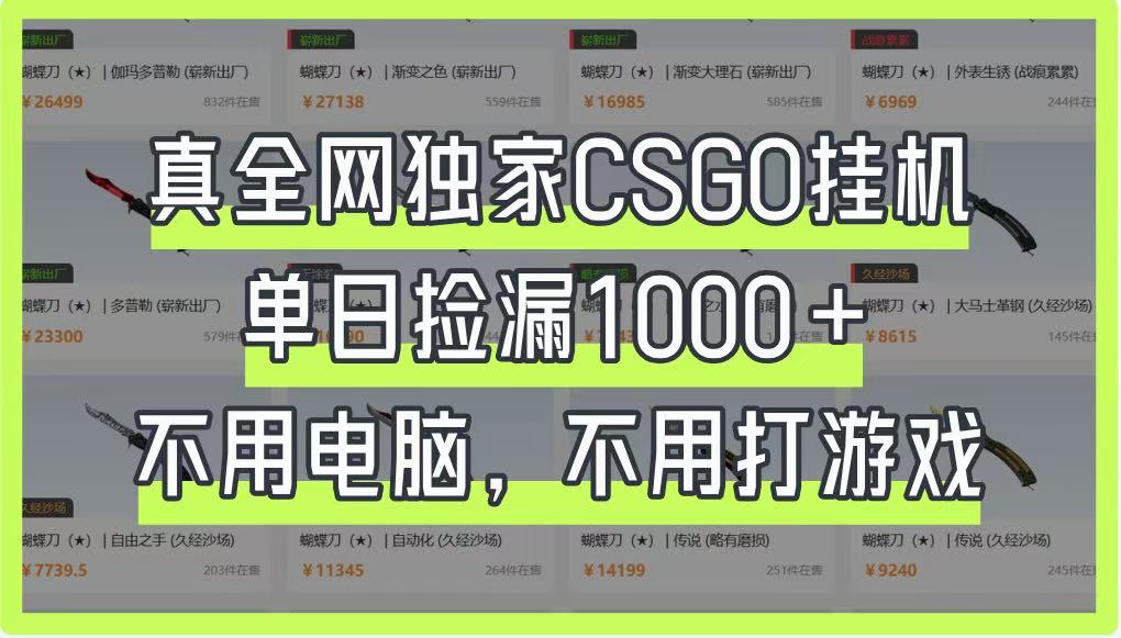 真全网独家CSGO挂机，单日捡漏1000+，不用电脑，不用养号-老K资源网