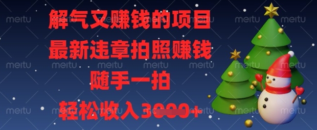 解气又挣钱的项目，最新违章拍照挣钱，随手一拍，轻松收入数张-老K资源网