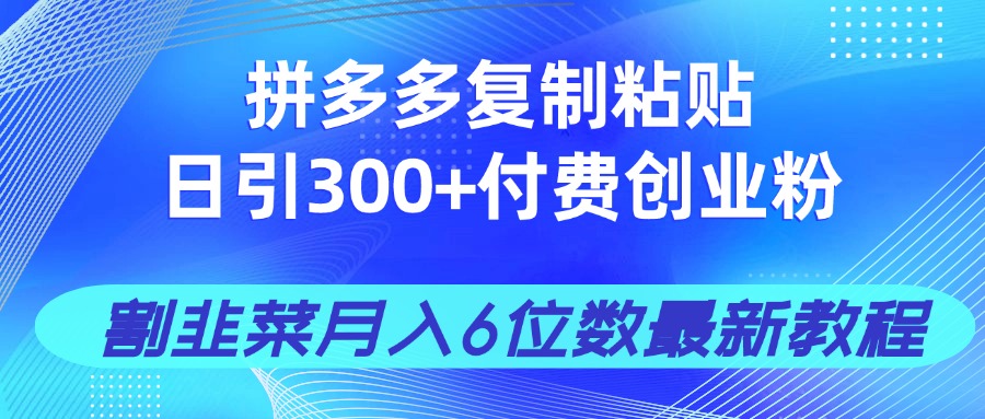 拼多多复制粘贴日引300+付费创业粉，割韭菜月入6位数最新教程！-老K资源网