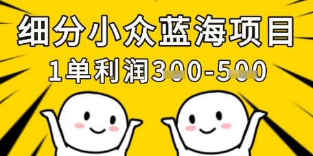 细分小众蓝海项目，一单利润3张，每月收入稳定过1w+-老K资源网