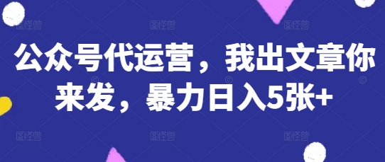 公众号代运营，我出文章你来发，暴力日入5张+-老K资源网