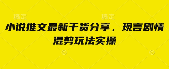 小说推文最新干货分享，现言剧情混剪玩法实操-老K资源网