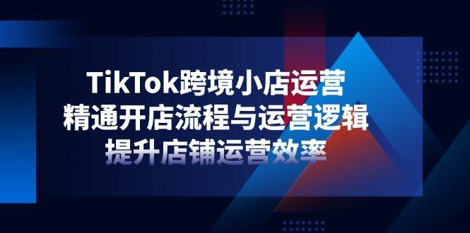 TikTok跨境小店运营，精通开店流程与运营逻辑，提升店铺运营效率-老K资源网