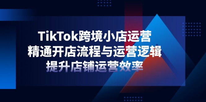 （14369期）TikTok跨境小店运营，精通开店流程与运营逻辑，提升店铺运营效率-老K资源网