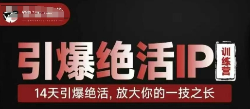 引爆绝活IP训练营，14天引爆绝活，放大你的一技之长-老K资源网