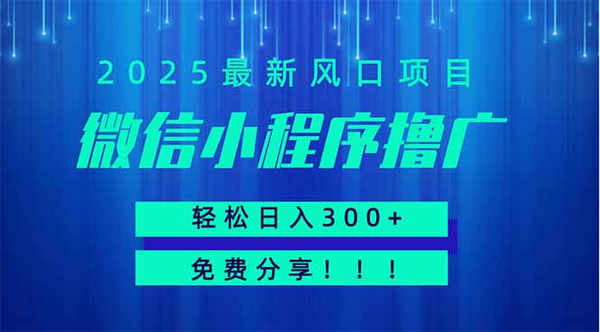 （14375期）微信小程序撸广，最新风口项目，日入300+ 免费分享 可批量操作 小白可…-老K资源网