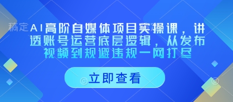 AI高阶自媒体项目实操课，讲透账号运营底层逻辑，从发布视频到规避违规一网打尽-老K资源网