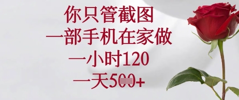 你只管截图，一部手机在家做，苹果安卓都可以，一小时120，一天5张+-老K资源网