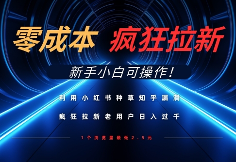 利用小红书种草知乎漏洞，零成本疯狂拉新日入数张，新手小白可操作-老K资源网