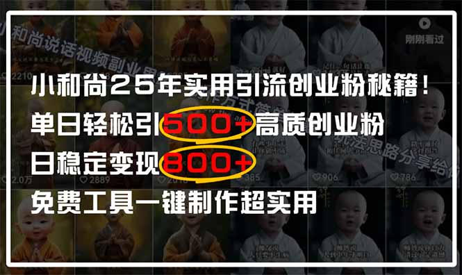 （14436期）小和尚2025年实用引流秘籍！单日轻松引500+高质量创业粉，日变现800+，…-老K资源网