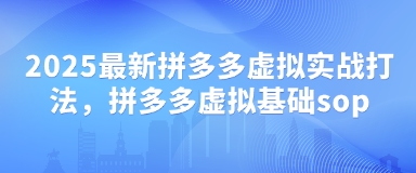 2025最新拼多多虚拟实战打法，拼多多虚拟基础sop-老K资源网