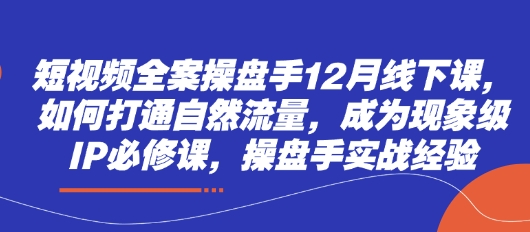 短视频全案操盘手12月线下课，如何打通自然流量，成为现象级IP必修课，操盘手实战经验-老K资源网