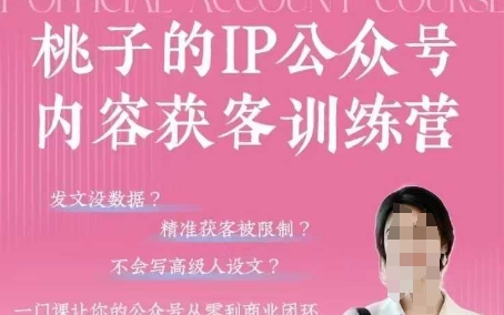 桃子IP公众号内容获客训练营(第3期)，一门让你公众号从0到商业闭环的课程-老K资源网