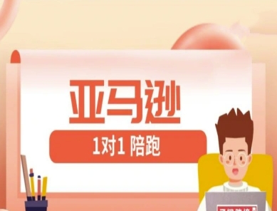 亚马逊1对1陪跑课(FBA/FBM精铺)跨境亚马逊教程-老K资源网