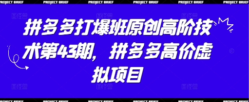 拼多多打爆班原创高阶技术第43期，拼多多高价虚拟项目-老K资源网
