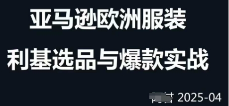 跨境电商选品案例24-25年，聚焦跨境电商选品策略与运营优化，助力卖家挖掘蓝海市场-老K资源网