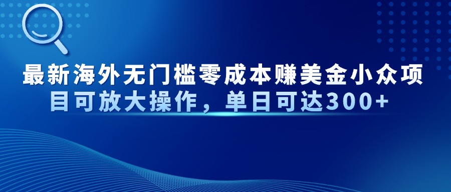 （14542期）最新海外无门槛零成本赚美金小众项目可放大操作，单日可达300+-老K资源网