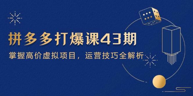 拼多多打爆课第 43 期，掌握高价虚拟项目，运营技巧全解析（15节）-老K资源网