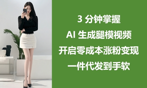 3分钟掌握AI生成腿模视频，开启零成本涨粉变现，一件代发到手软-老K资源网