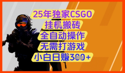 25年独家CSGO挂G搬砖，全自动操作，无需打游戏，小白日入3张+-老K资源网