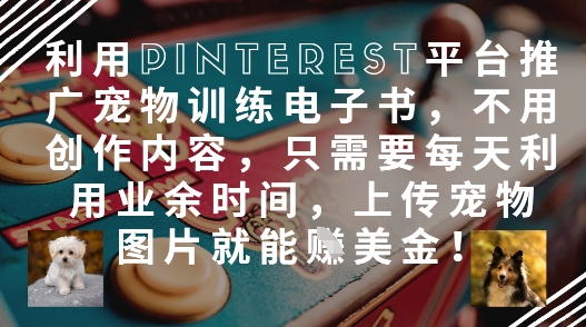 利用Pinterest平台推广宠物训练电子书，不用创作内容，只需要每天利用业余时间，上传宠物图片就能挣美金!-老K资源网