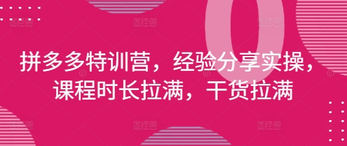 拼多多特训营，经验分享实操，课程时长拉满，干货拉满(更新25年4月)-老K资源网