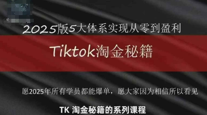 TikTok跨境2025淘金秘籍，​2025TikTok从0到盈利变现-老K资源网