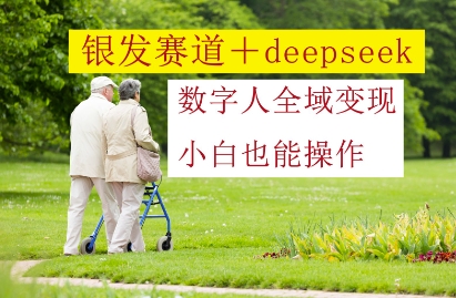 银发赛道+deepseek数字人全域变现，小白也能操作-老K资源网