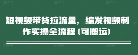 短视频带货拉流量，编发视频制作实操全流程(可搬运)-老K资源网