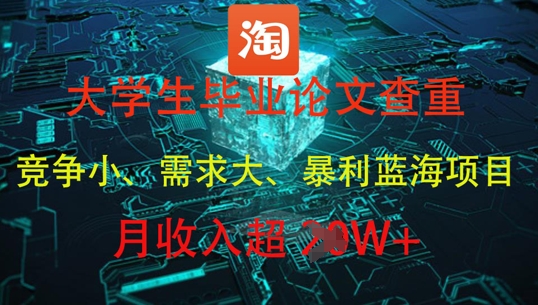 大学生毕业论文查重，暴利蓝海项目，月收入过1W+-老K资源网