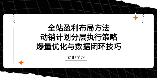 全站盈利布局方法：动销计划分层执行策略，爆量优化与数据闭环技巧-老K资源网