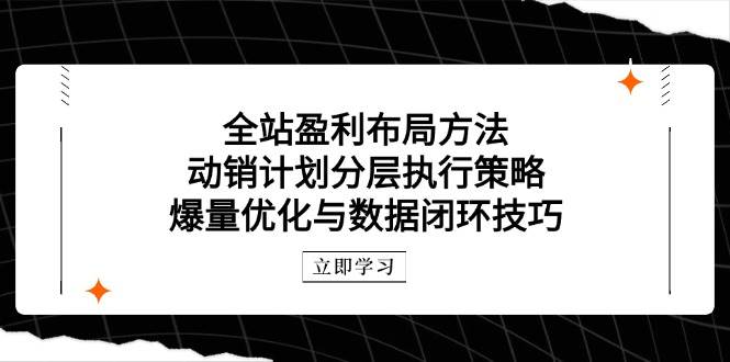 全站盈利布局方法：动销计划分层执行策略，爆量优化与数据闭环技巧-老K资源网