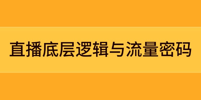 （14695期）直播底层逻辑与流量密码：定位模型+案例拆解，急速流承接与数据优化全攻略-老K资源网