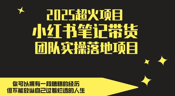 2025超火项目，副业最佳选择，小红书笔记带货团队实操落地项目，，轻松日入5张-老K资源网