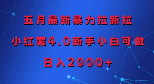 五月最新暴力拉新拉，小红薯4.0新手小白可做，日入多张-老K资源网